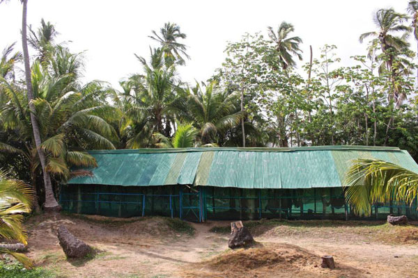 La Colombie réserve également son lot de surprises à nos aventurières : une maison dédiée au bivouac et aux hamacs