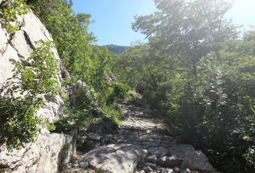 Notre aventurière progresse sur le sentier du Parc