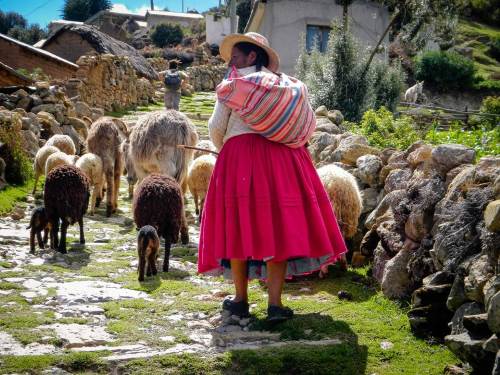 Léa et Lili empruntent les fameuses routes incas des abords du lac Titicaca