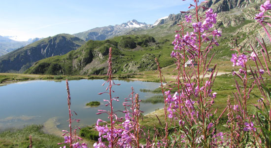 Ayant passé le col de la Croix de Fer, notre aventurier découvre de nouveaux paysages, toujours plus féeriques