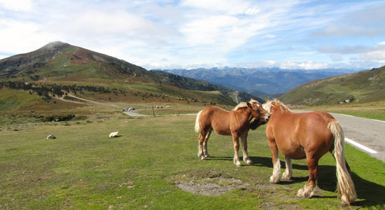 Récompense supplémentaire, le voyage-aventure "Sur le pas de la Porte" débouche sur de vastes paysages de landes où les chevaux semblent évoluer en liberté, sans barrière autre que le relief