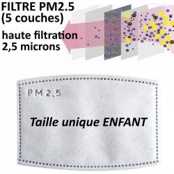 Filtre PM2.5 pour masque...