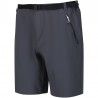 Short extensible Xert Strech Shorts Regatta gris