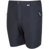 Regatta Highton Shorts Mid gris India Grey