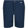 Short Regatta Highton Shorts Mid