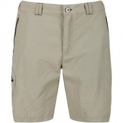 Short homme de randonnée Regatta Lessville Shorts II