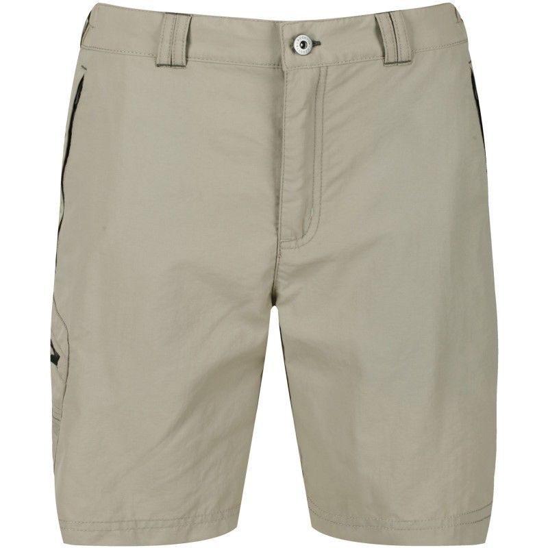 Short homme de randonnée Regatta Lessville Shorts II