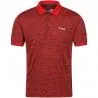 Polo de trekking Regatta Remex II rouge Seville