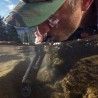 Lifestraw Personal Peak Series Black