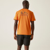 T-shirt Fingal Regatta IX orange