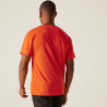 T-shirt trekking homme Fingal IX Regatta orange