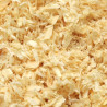 Sciure de bois non chimique CAO pour WC sec de camping-car, fourgon et van